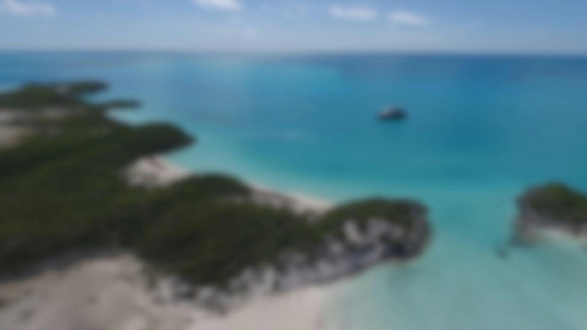 None aboard BACCHUS Yacht for Charter