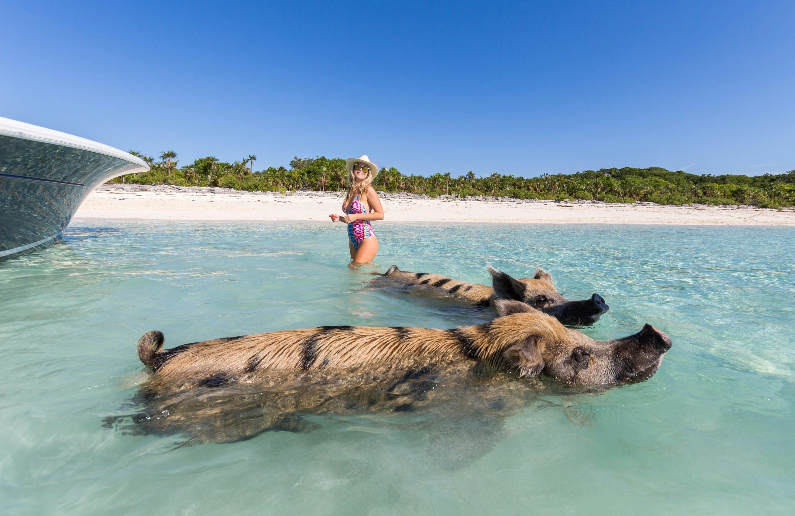 None aboard BACCHUS Yacht for Charter