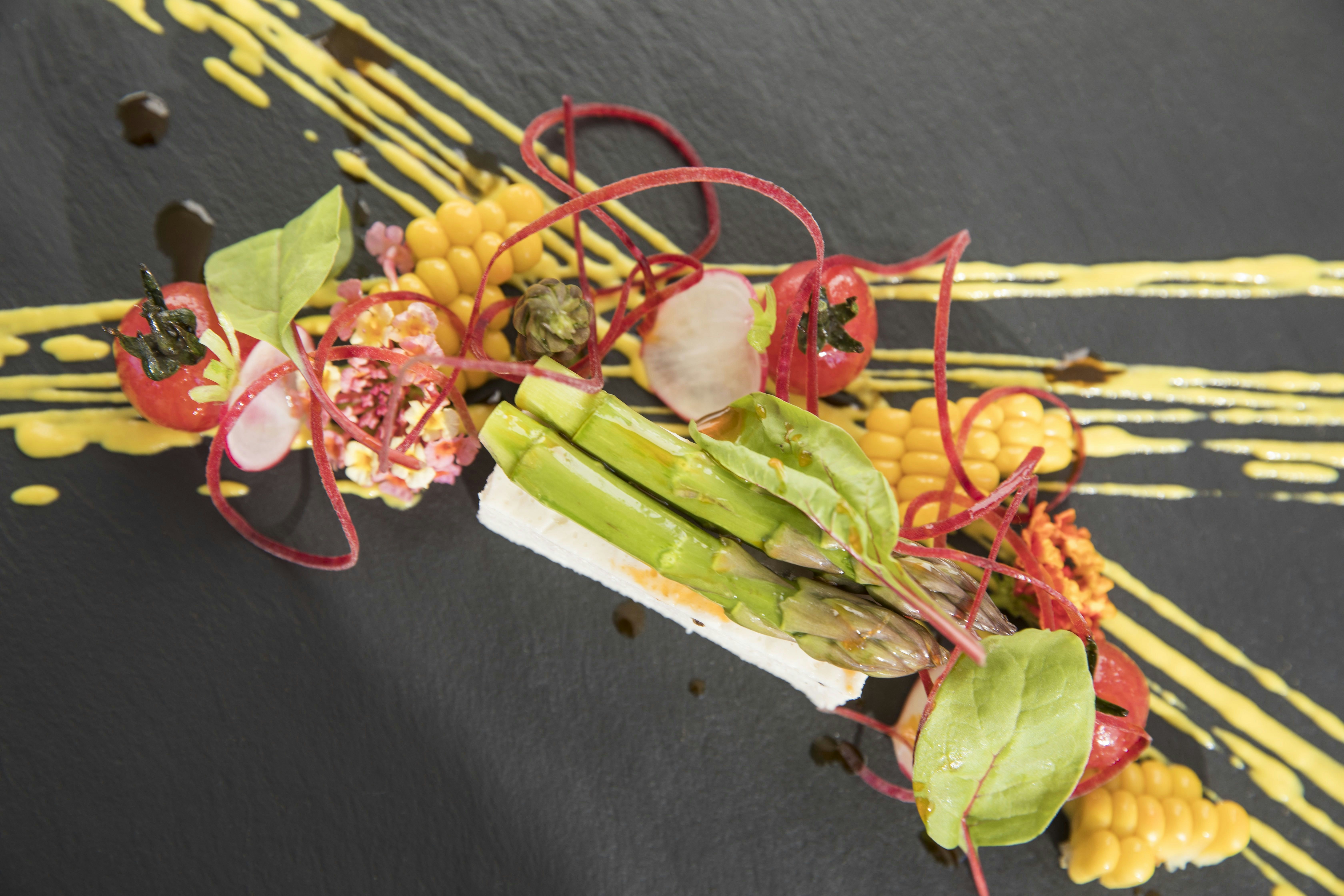 a leaf with red and green leaves on it aboard MOKA Yacht for Charter