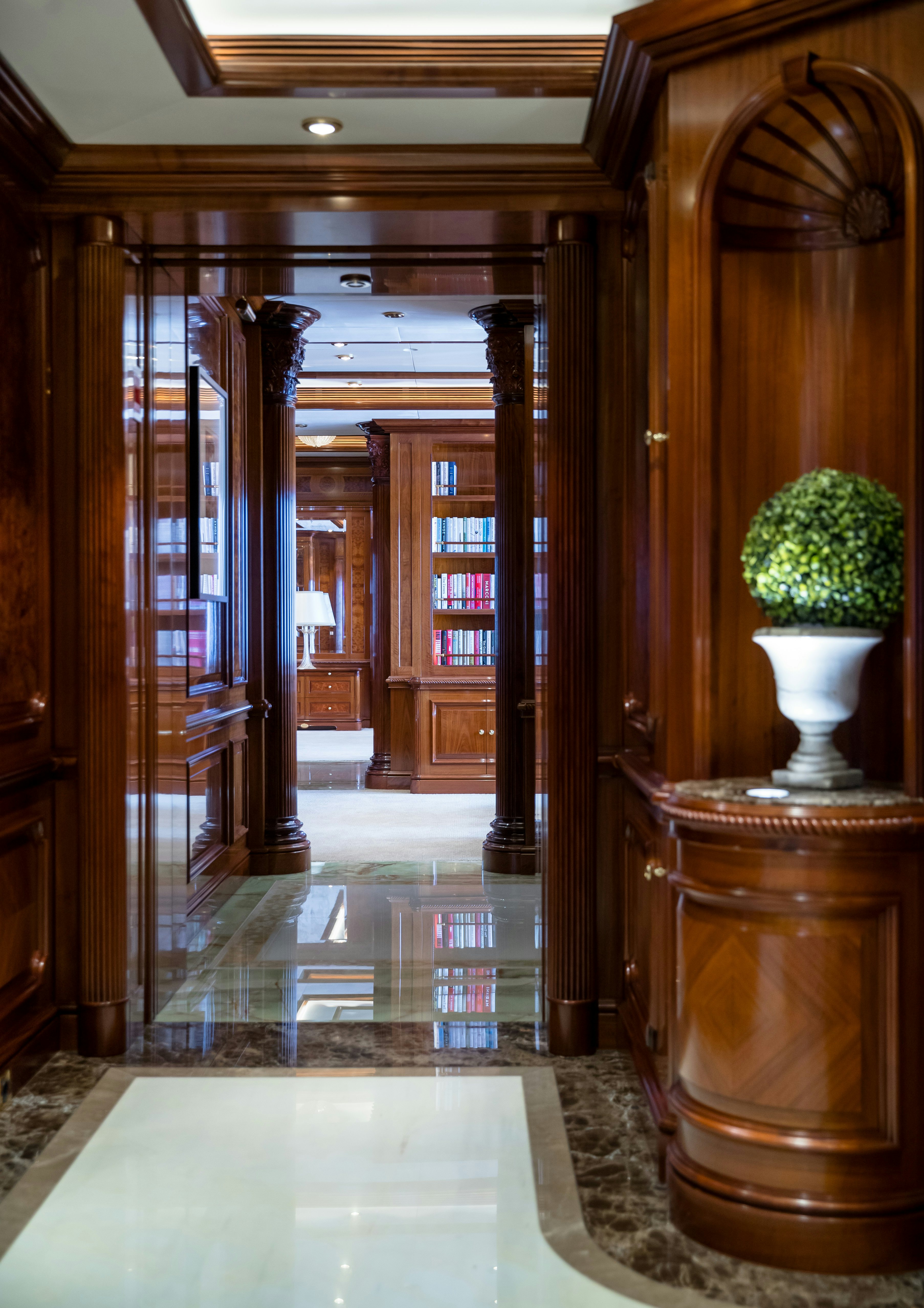 a hallway with a plant in it aboard STARFIRE Yacht for Charter