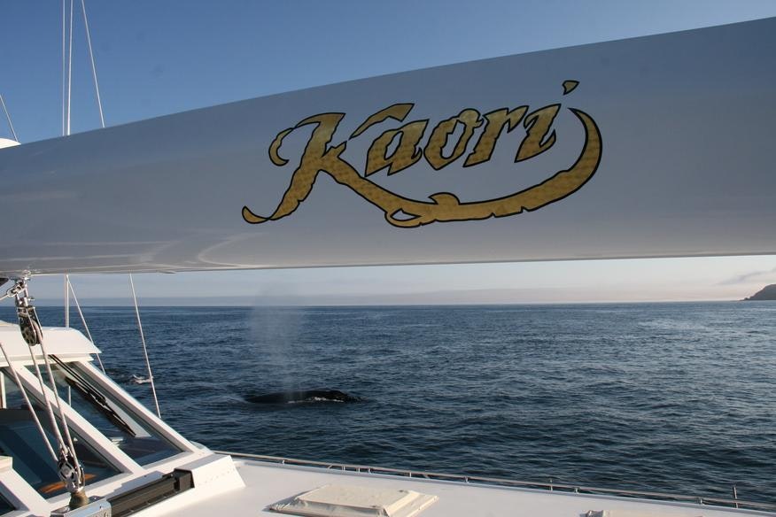 Seasonal Rates for KAORI Private Luxury Yacht For Charter