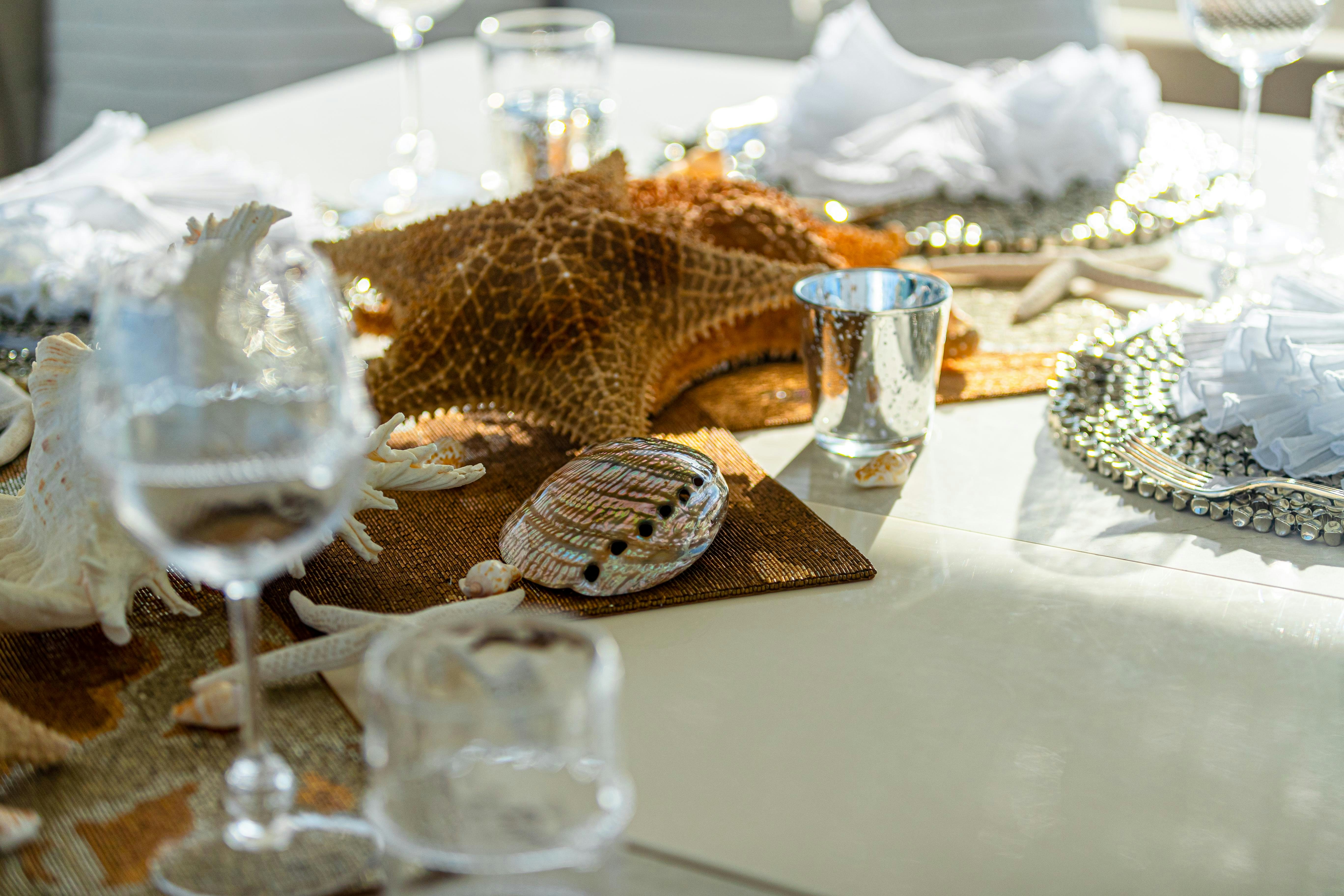 a snake on a table aboard I C Yacht for Charter