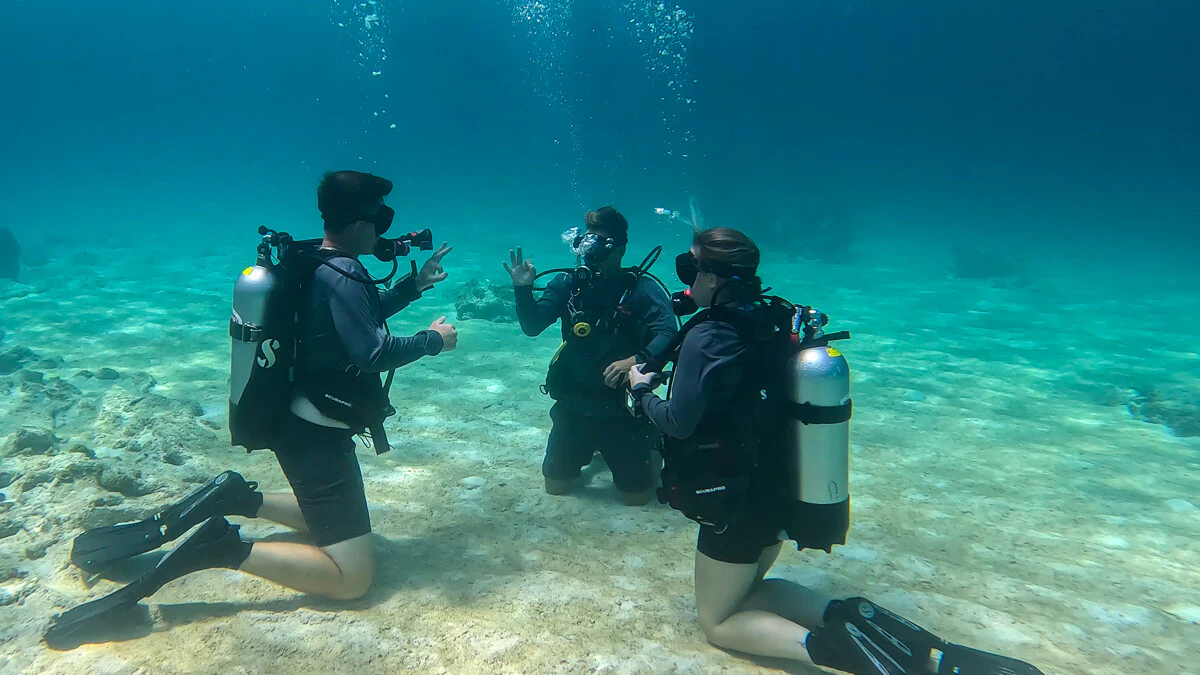 a group of people in scuba gear in the water aboard ALPHA WAVES Yacht for Charter