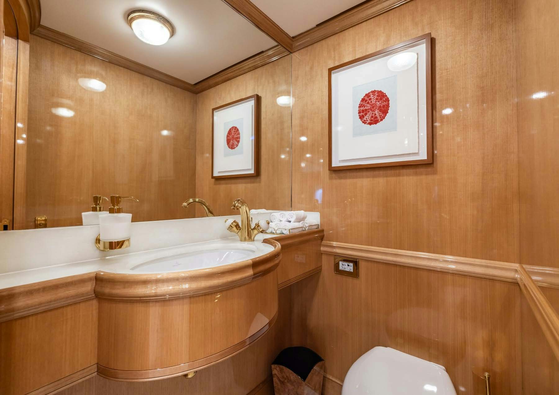 a bathroom with a sink and a toilet aboard MAXIMUS Yacht for Charter