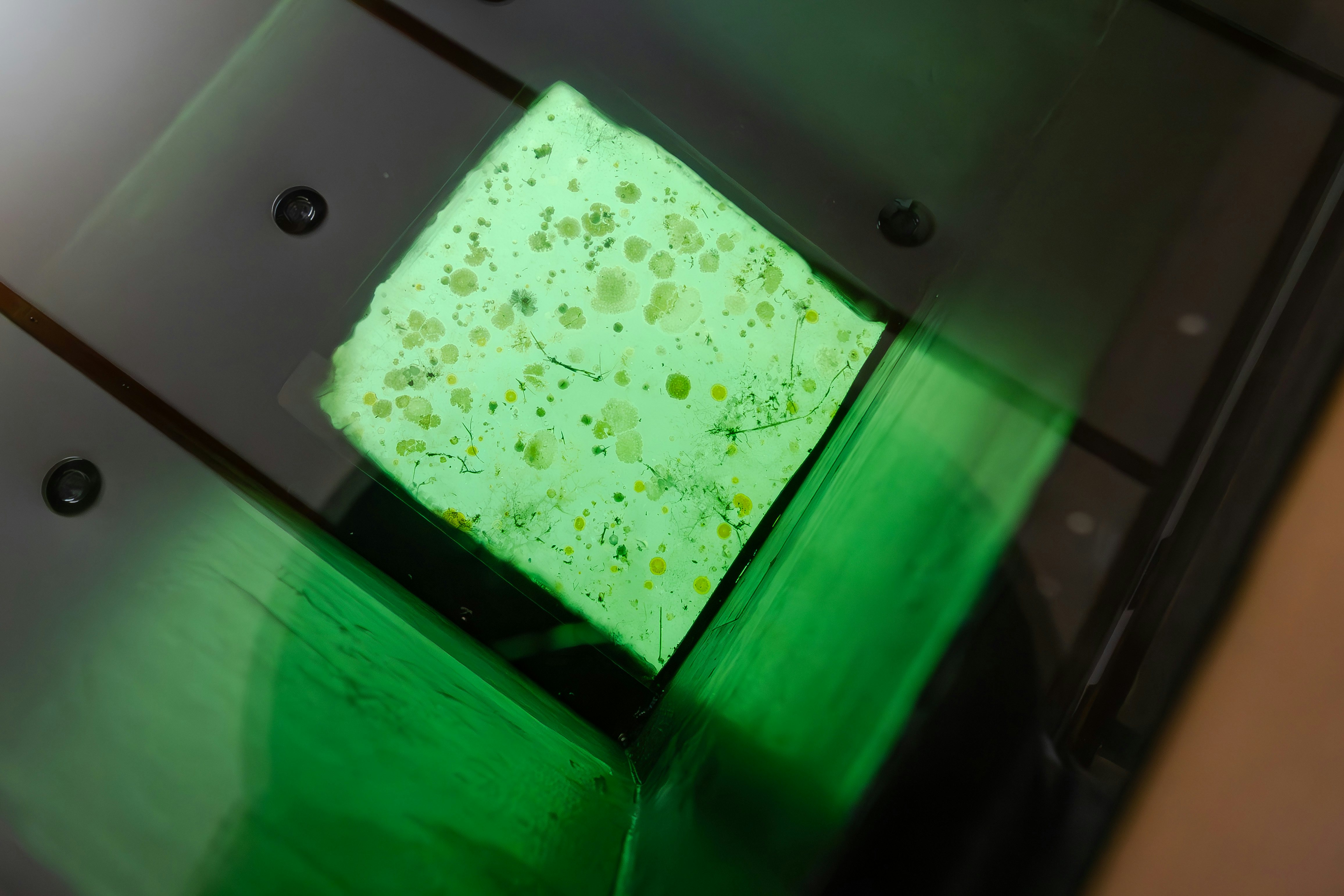 a green and white object aboard SILVERADO Yacht for Sale