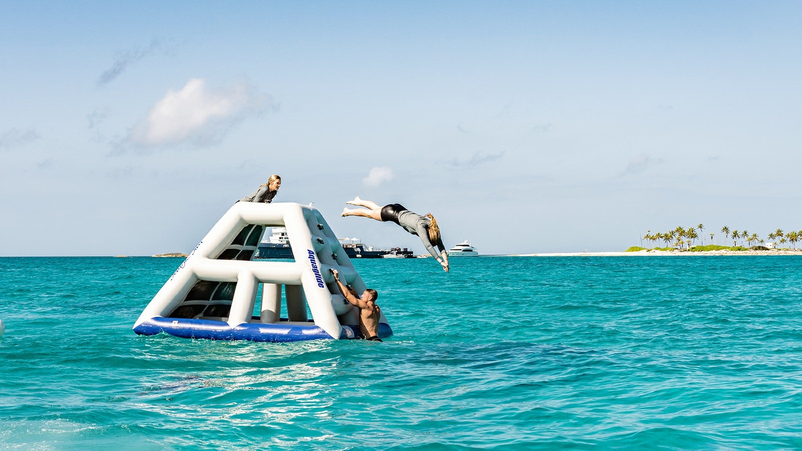 a bird on a boat aboard IRON BLONDE Yacht for Charter