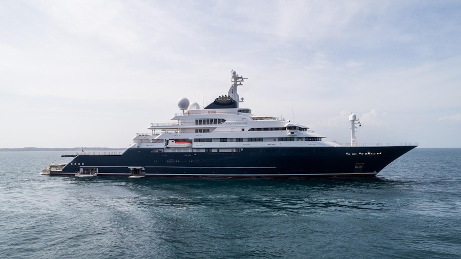 octopus yacht for charter