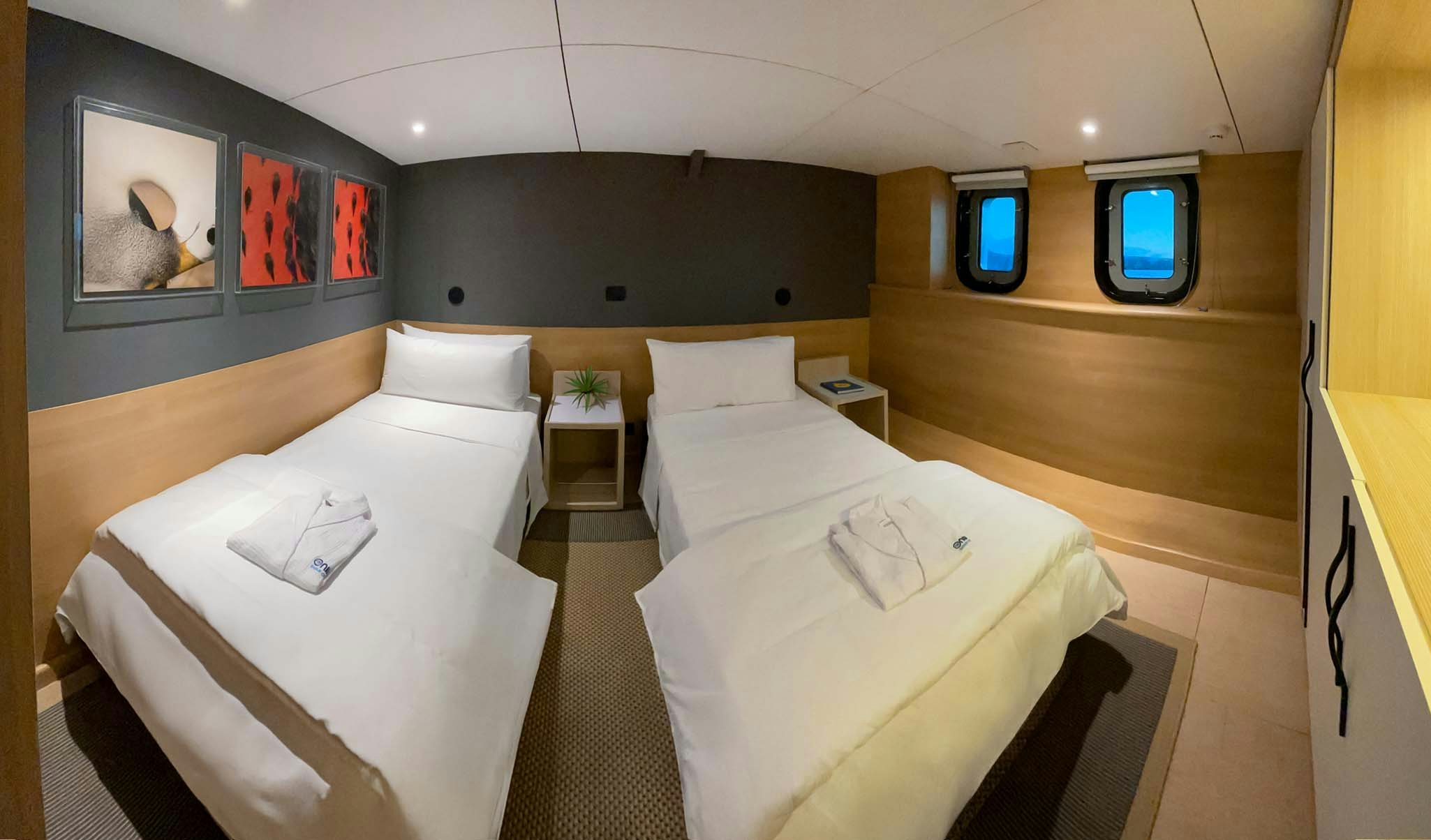 a room with a bed and a tv aboard TRIBUTE - FREDDY'S LEGACY Yacht for Charter