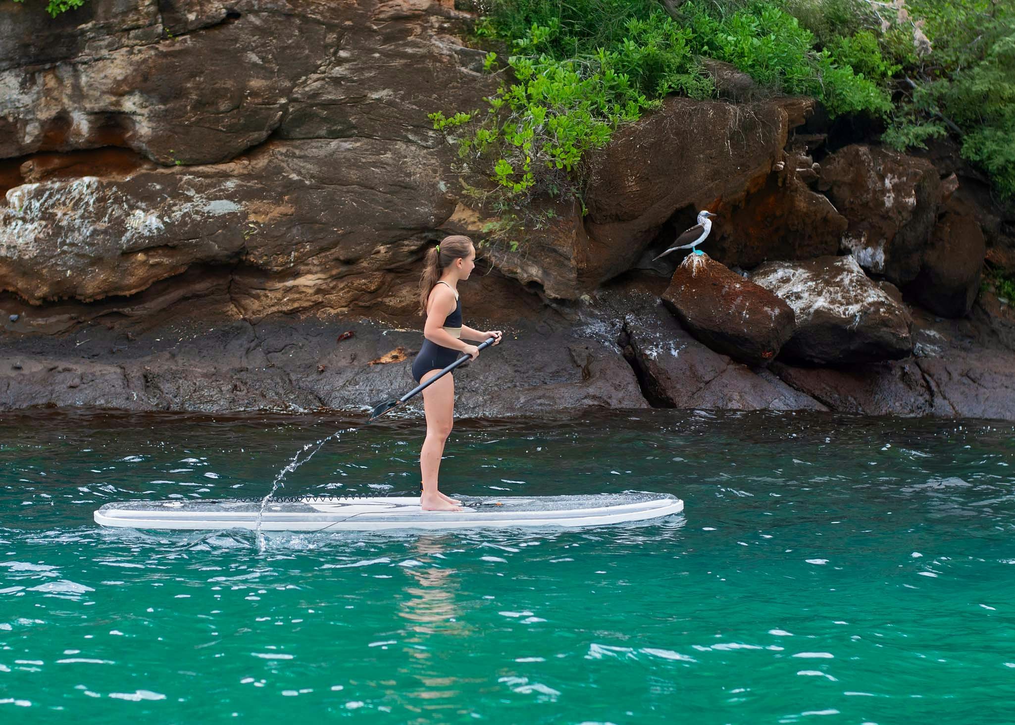 a man paddle boarding aboard TRIBUTE - FREDDY'S LEGACY Yacht for Charter