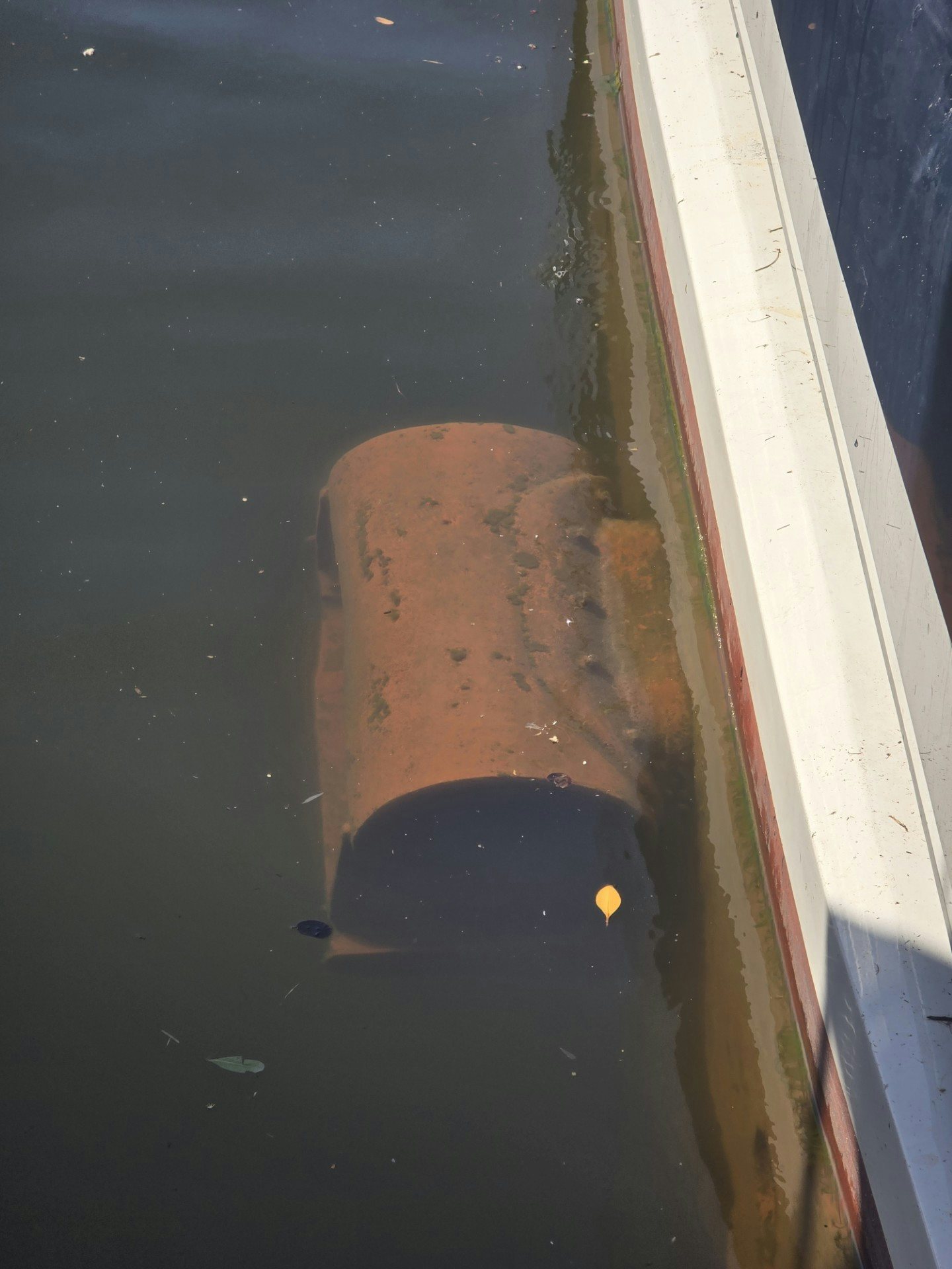 a fish in a tank aboard DESTINATION Yacht for Sale