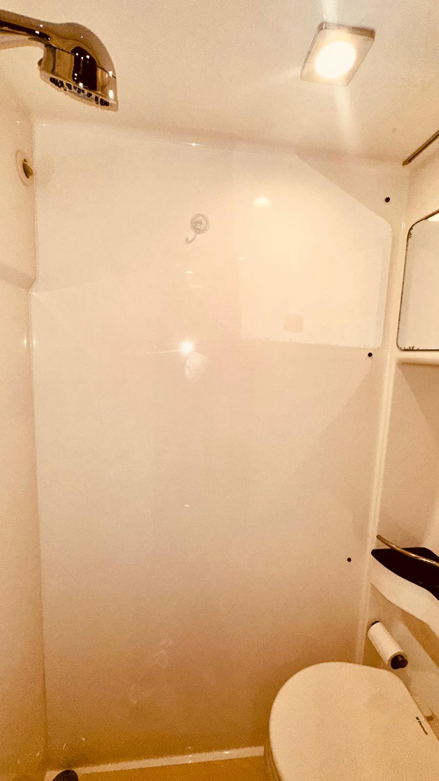 a bathroom with a toilet and a shower aboard MODERATION Yacht for Sale