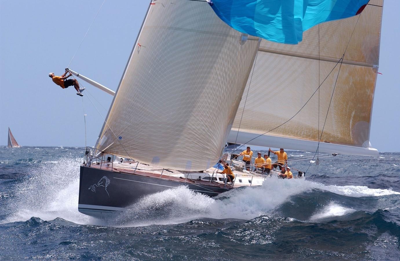 a person jumping from a sailboat aboard OCEAN HORSE Yacht for Sale