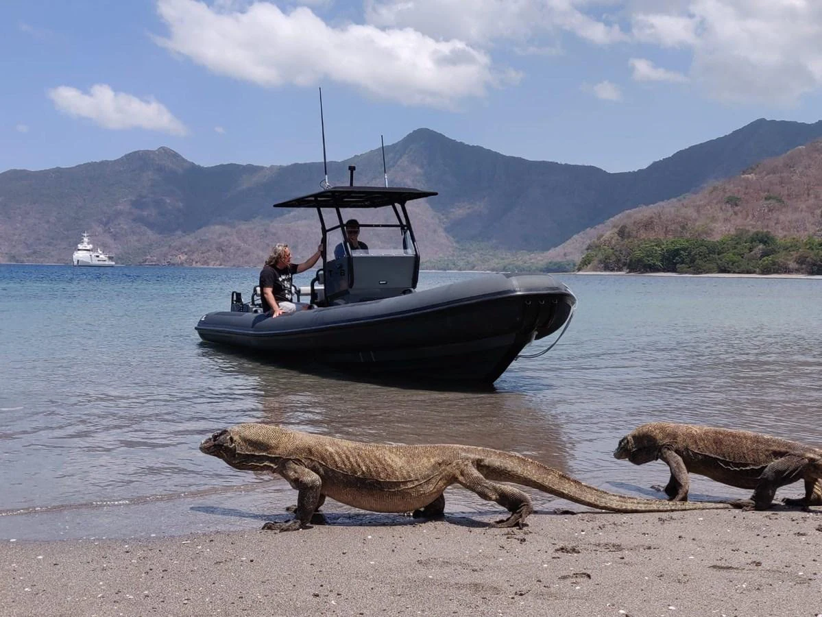 a group of people in a boat on a beach with a large sea animal in the background aboard INDRATUS Yacht for Sale