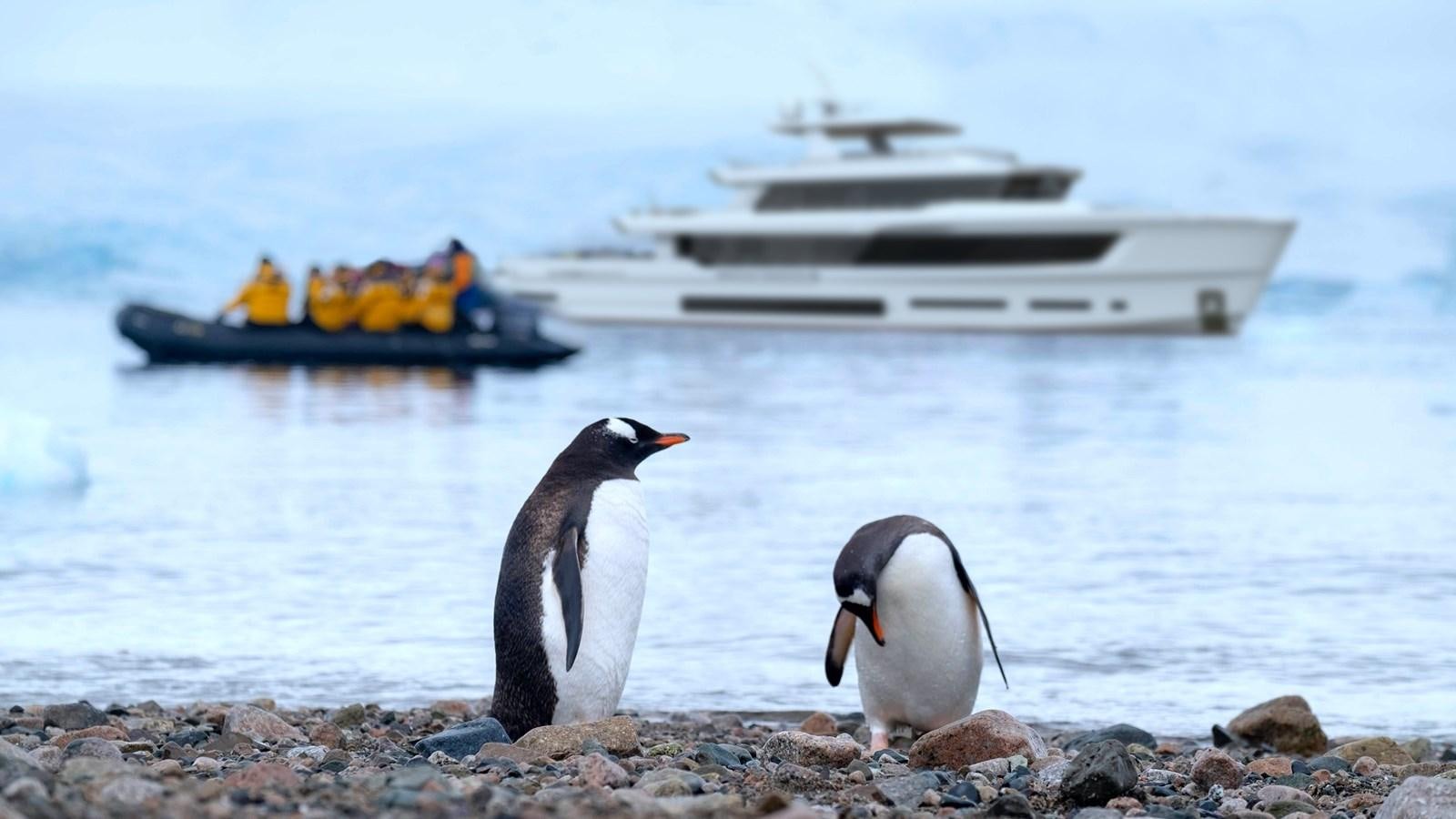 a couple of penguins on a rocky beach by a boat and boats aboard EXPLORER ICE CLASS Yacht for Sale