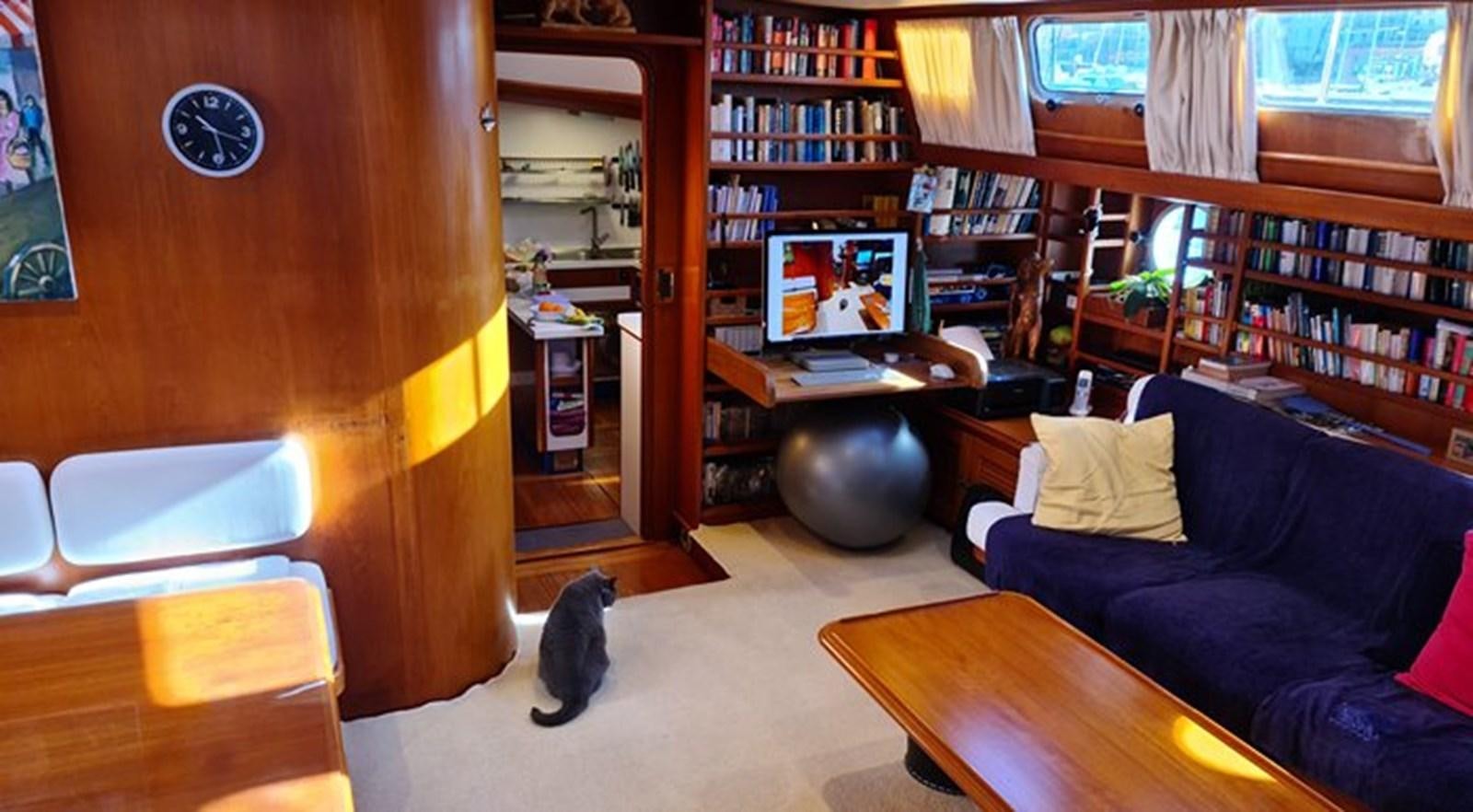 a cat on a rug in a library aboard ACOA Yacht for Sale
