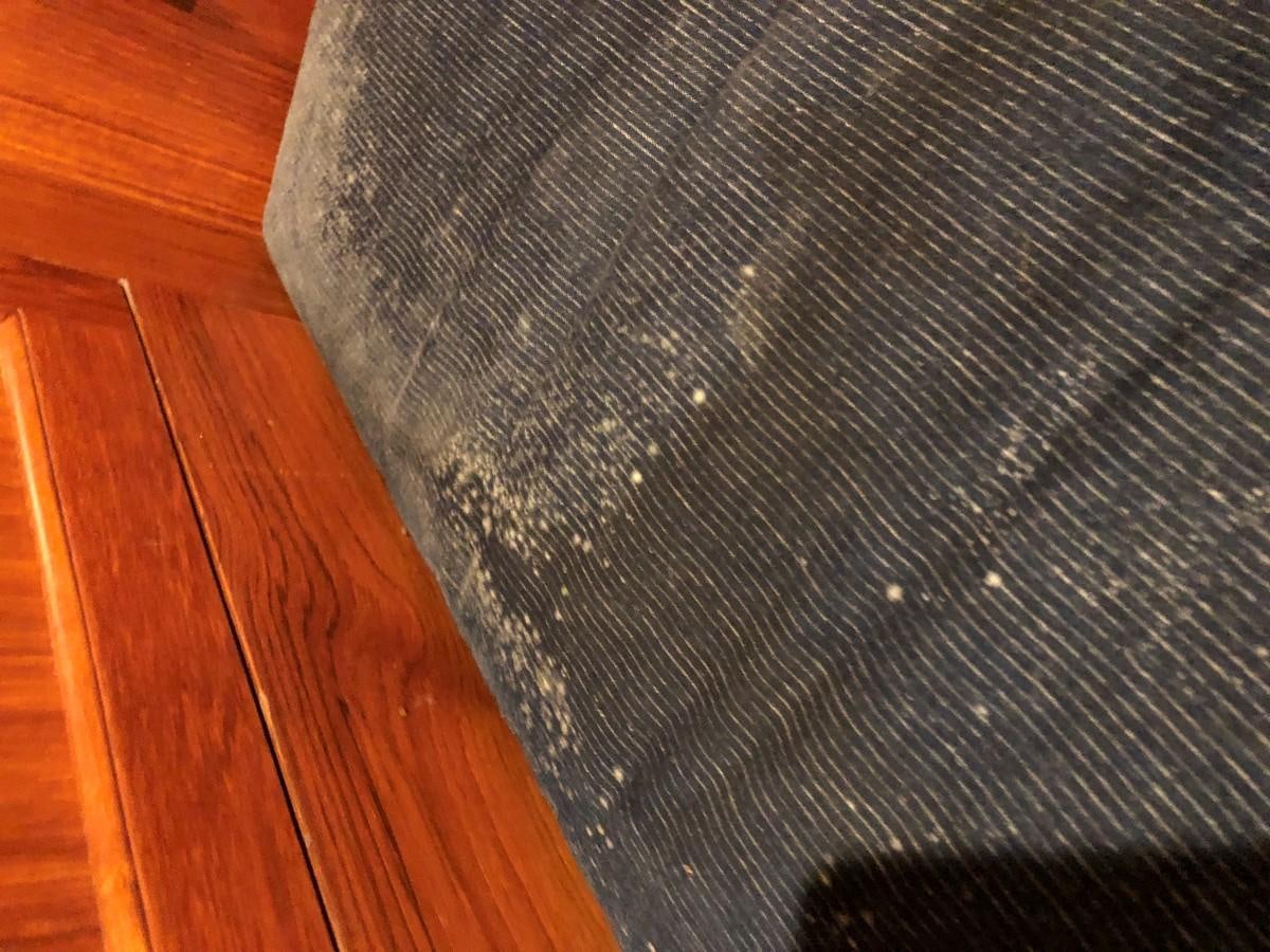 a close up of a wood floor aboard GOLDEN EAGLE Yacht for Sale