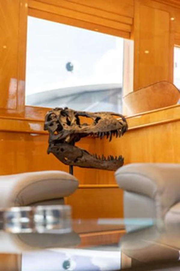 a cat on a cat tree aboard 2000 116 BAGLIETTO Yacht for Sale