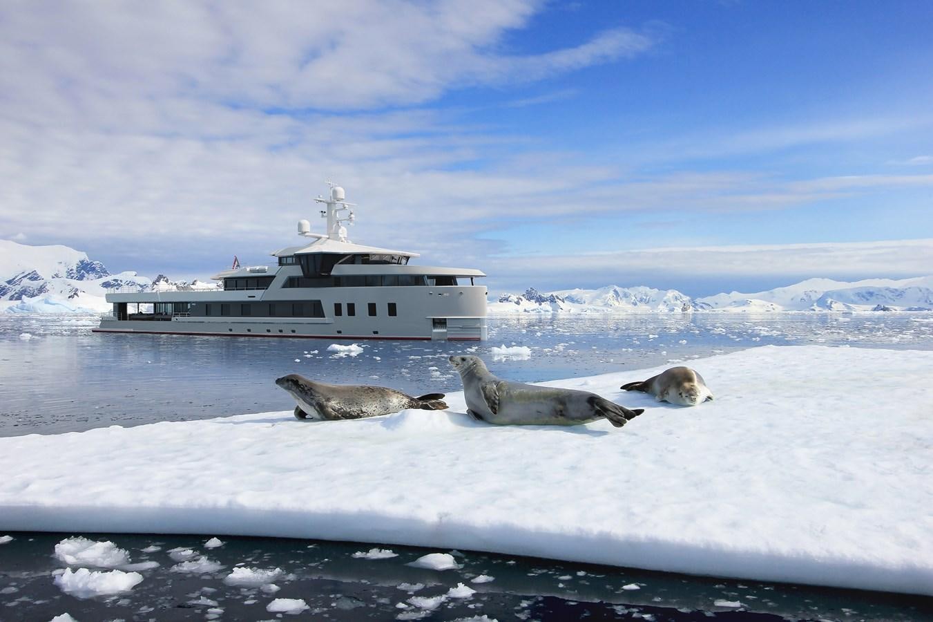 a group of seals lying on a snowy dock in front of a large ship aboard SEAXPLORER 60 Yacht for Sale