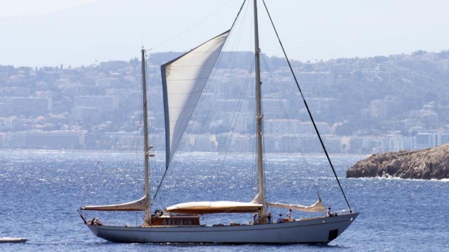 TAMORY Yacht TAMORY Yacht