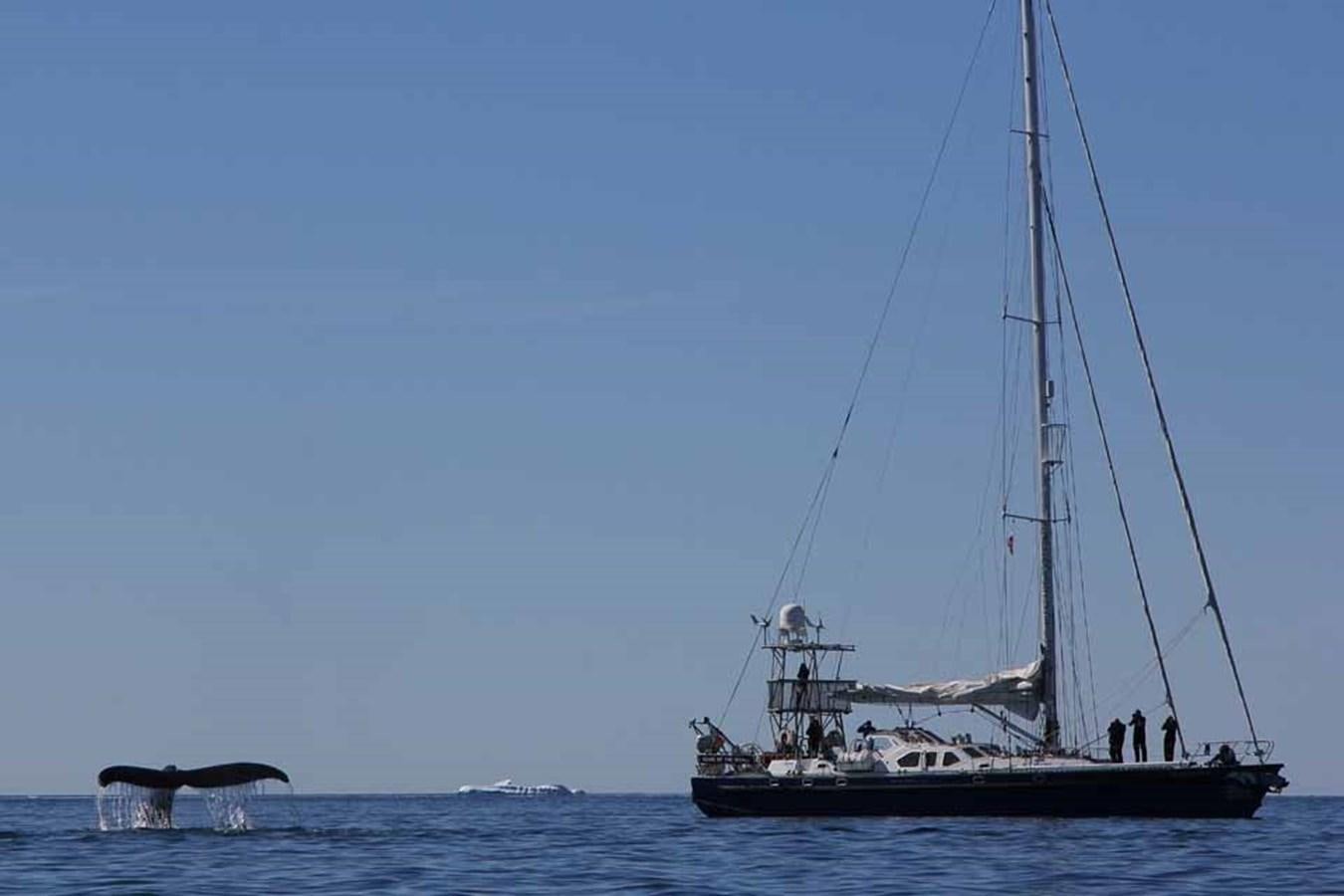 a sailboat in the water aboard SONG OF THE WHALE Yacht for Sale