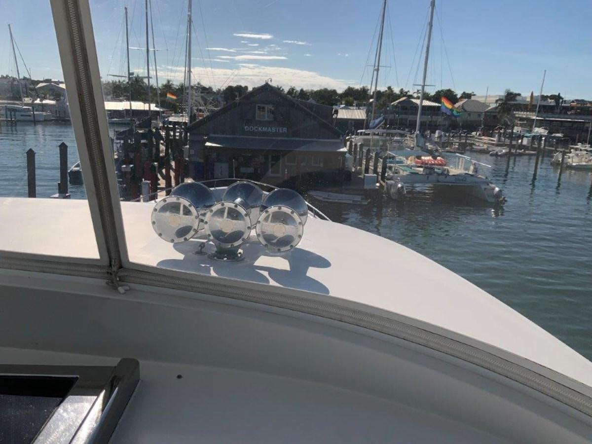 a group of seagulls on a boat aboard LADY GRACE Yacht for Sale