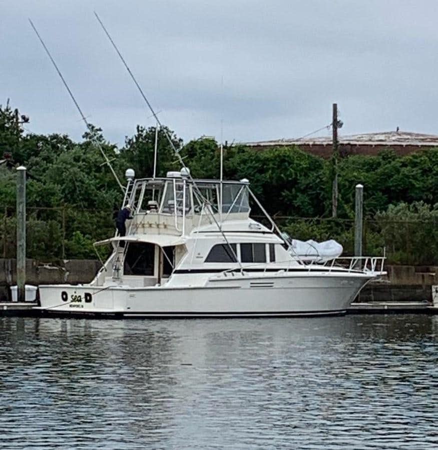 O sea d
Yacht for Sale