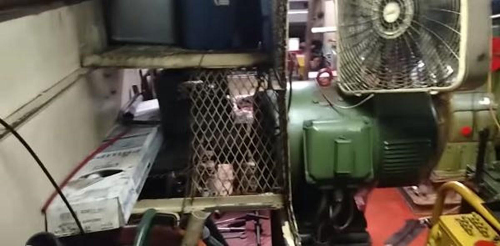 a machine in a factory aboard 1963 TRAWLER DE HASS NORTH SEA, WANDERBIRD  Yacht for Sale