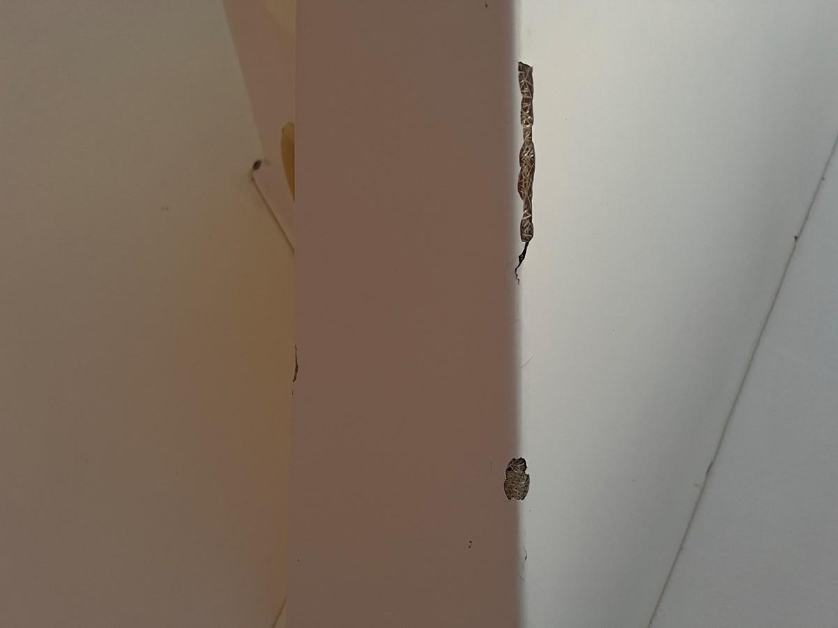 a door with a handle aboard 2007 STARDUST 19 X 86WB NLCG Yacht for Sale