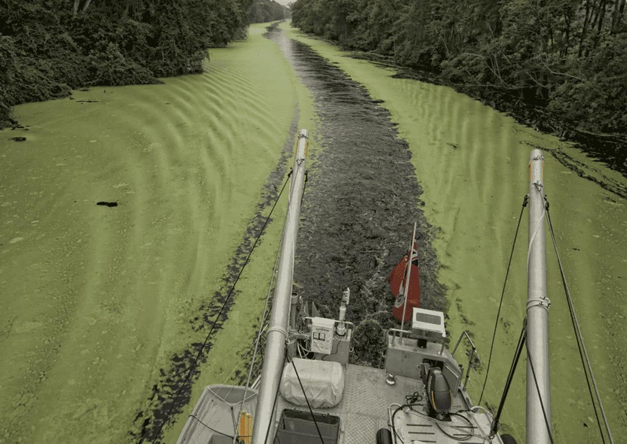 a large field with a few rows of white poles and a red tower aboard WIND HORSE Yacht for Sale