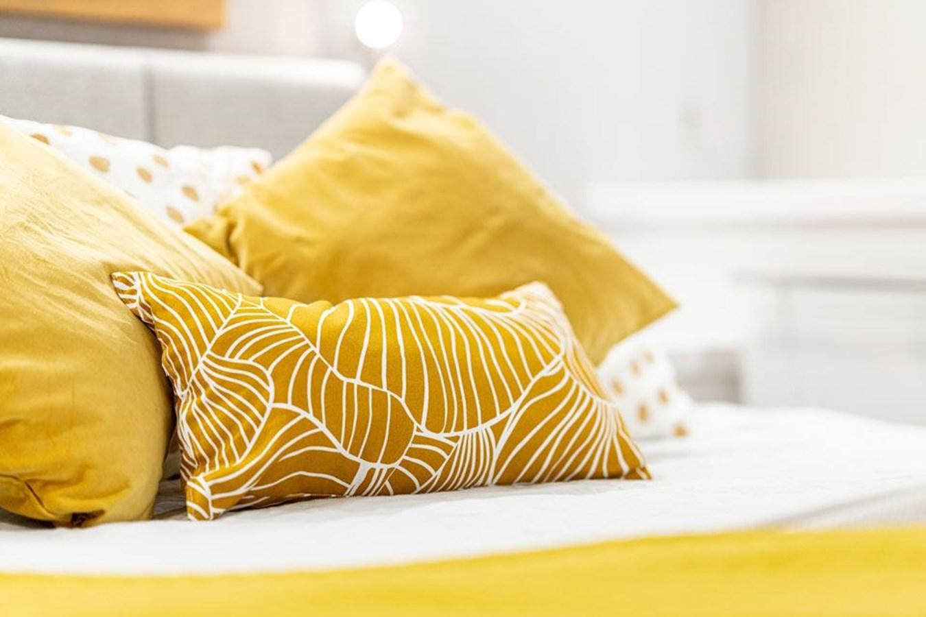 a cat lying on a bed aboard COCHISE Yacht for Sale