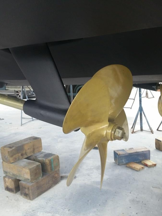 a camel in a desert aboard NUEVA OLA Yacht for Sale