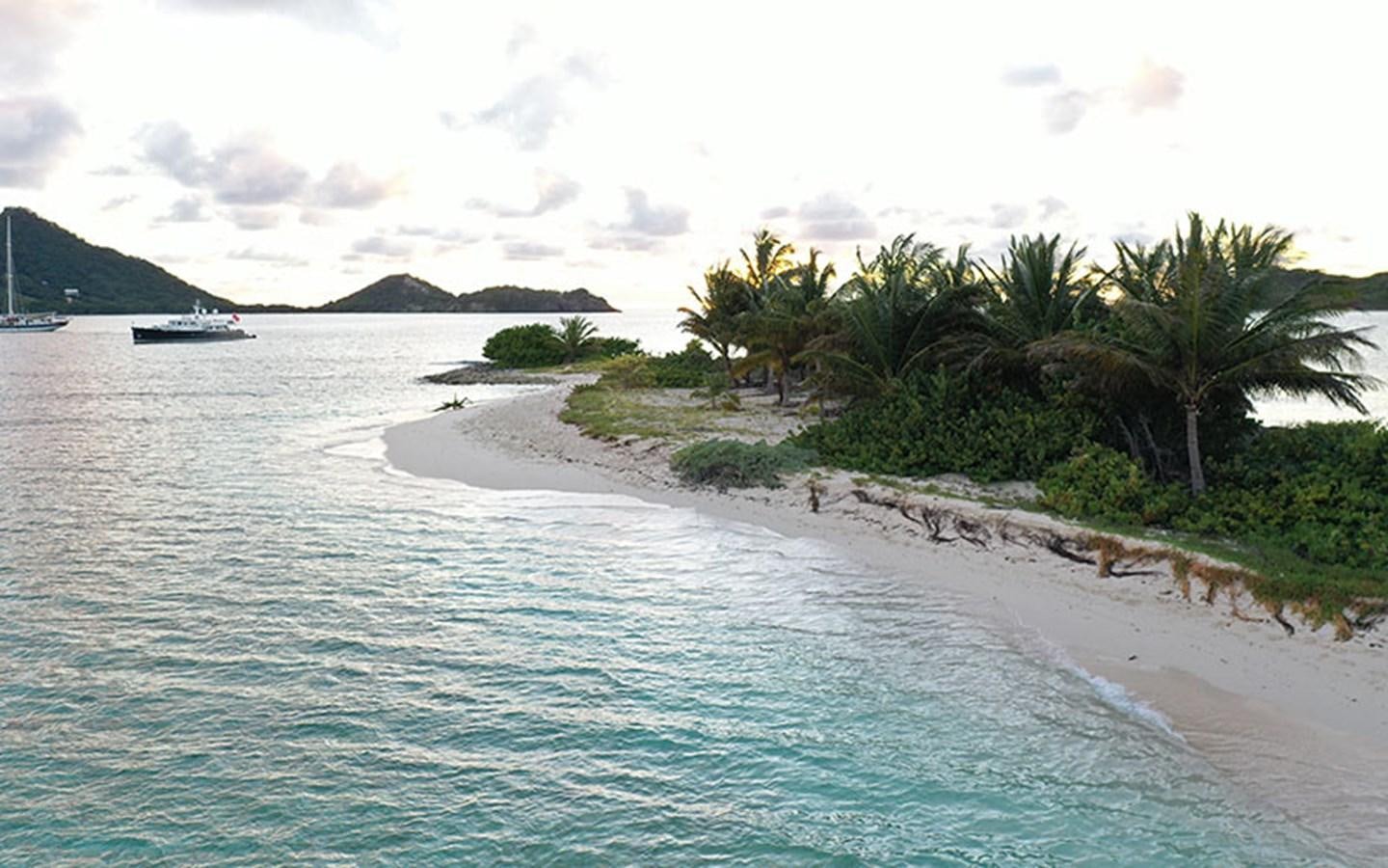 a beach with palm trees and a body of water aboard PERSUADER Yacht for Sale
