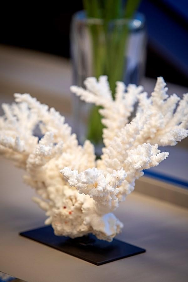 a vase of white flowers aboard ANINHA 1 Yacht for Sale