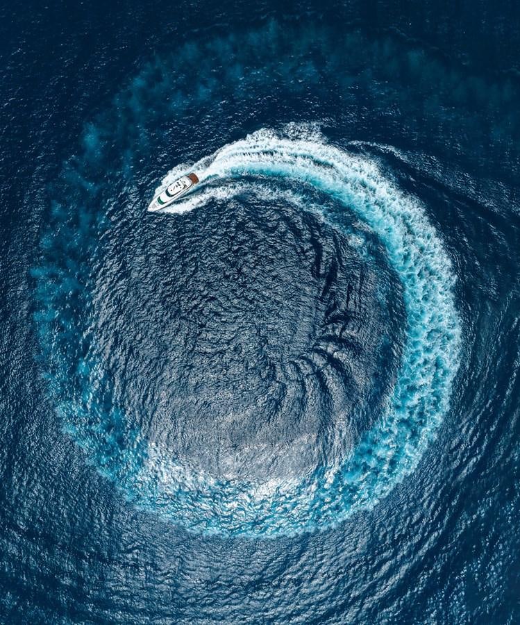 a close up of a bird aboard E90 MOTOR Yacht for Sale