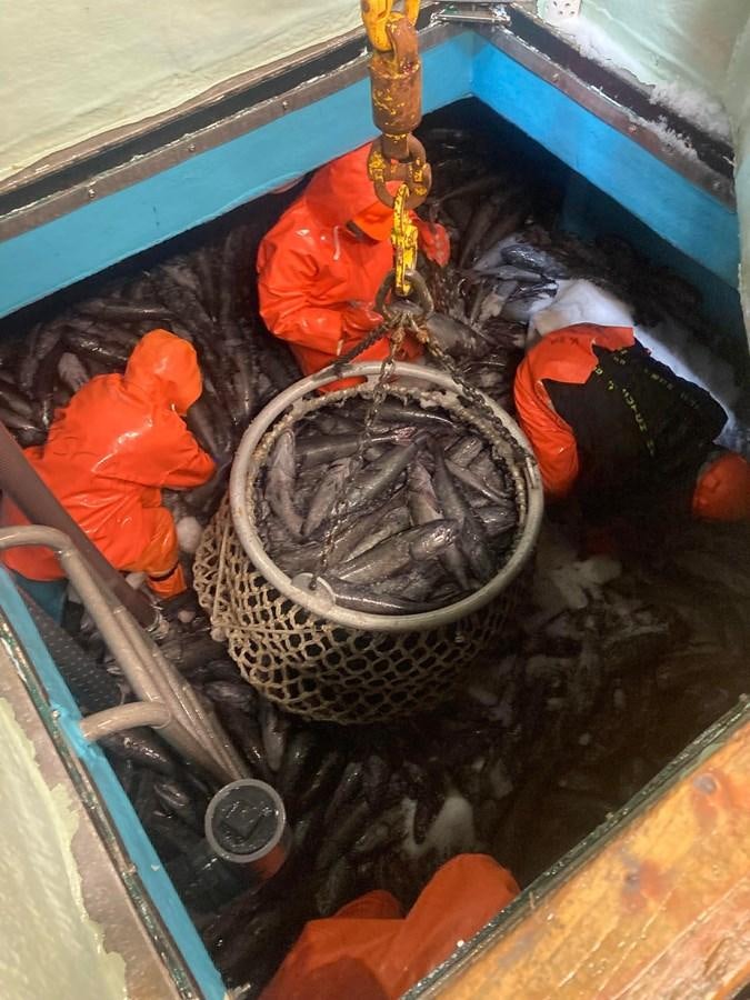 a bucket of water and a bucket aboard 1979 CUSTOM LONGLINE/TENDER/CRABBER Yacht for Sale