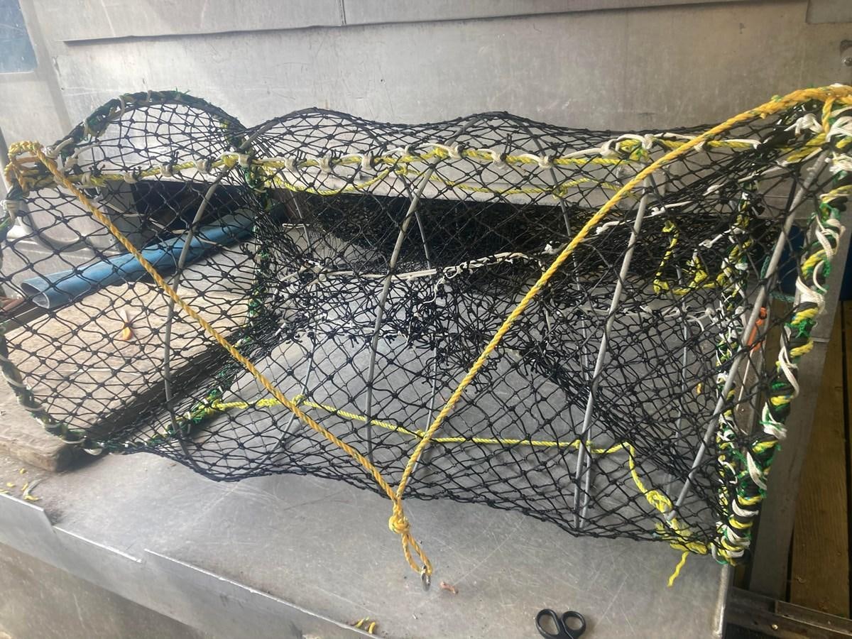 a large net with fish swimming in it aboard 1979 CUSTOM LONGLINE/TENDER/CRABBER Yacht for Sale