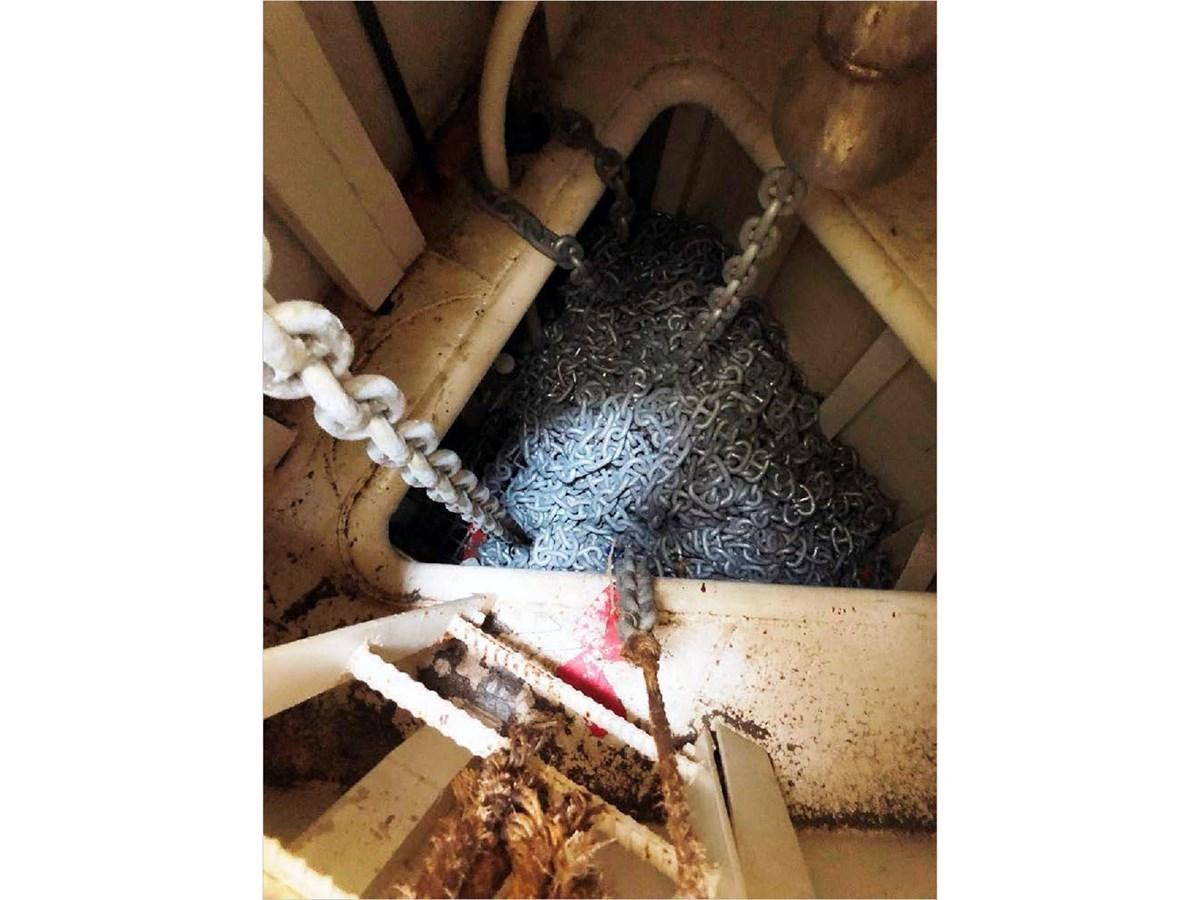 a cat lying on the floor aboard SEA MONSTER Yacht for Sale