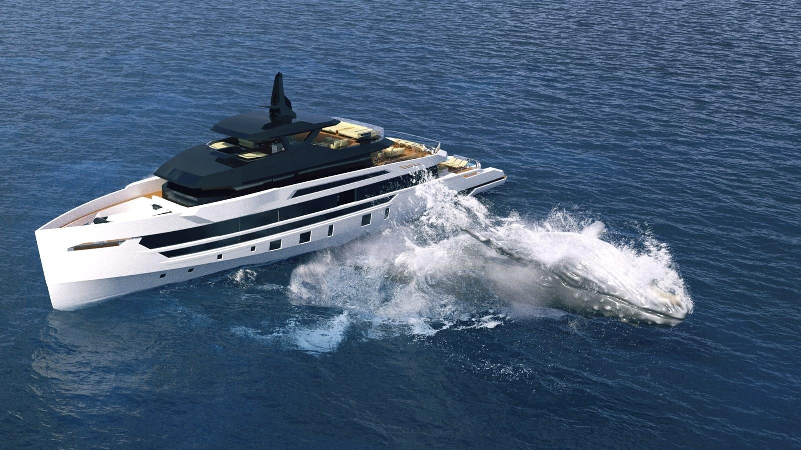 a boat in the water aboard TRIBALE 165 Yacht for Sale