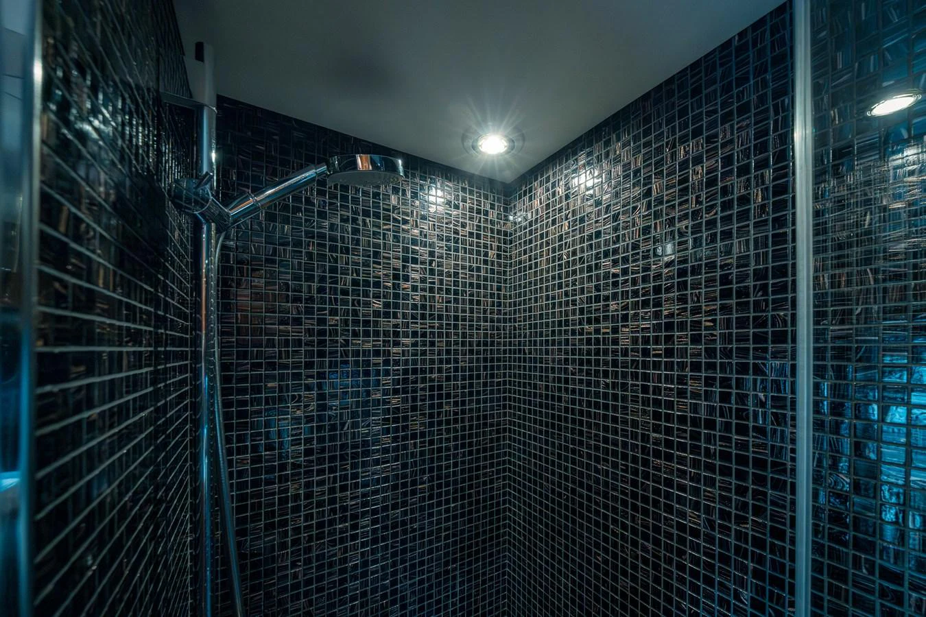 A sleek and modern shower area with dark mosaic tiles and a chrome showerhead. aboard 4 LIFE Yacht for Sale