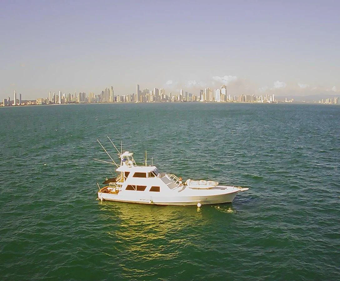 A sleek yacht cruises on calm waters with a city skyline in the background. aboard ADDISYN ANN Yacht for Sale