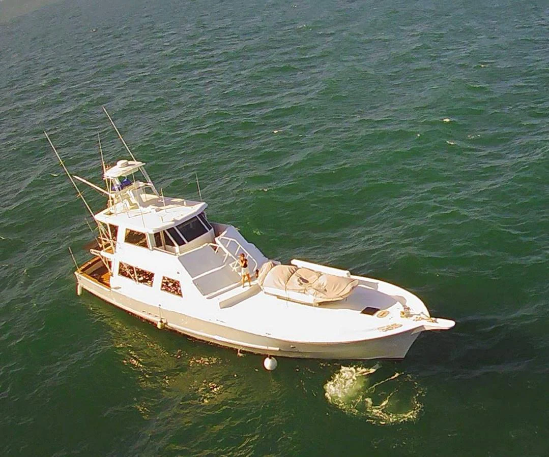 A sleek yacht glides gracefully on the open water, showcasing its elegant design and spacious deck. aboard ADDISYN ANN Yacht for Sale