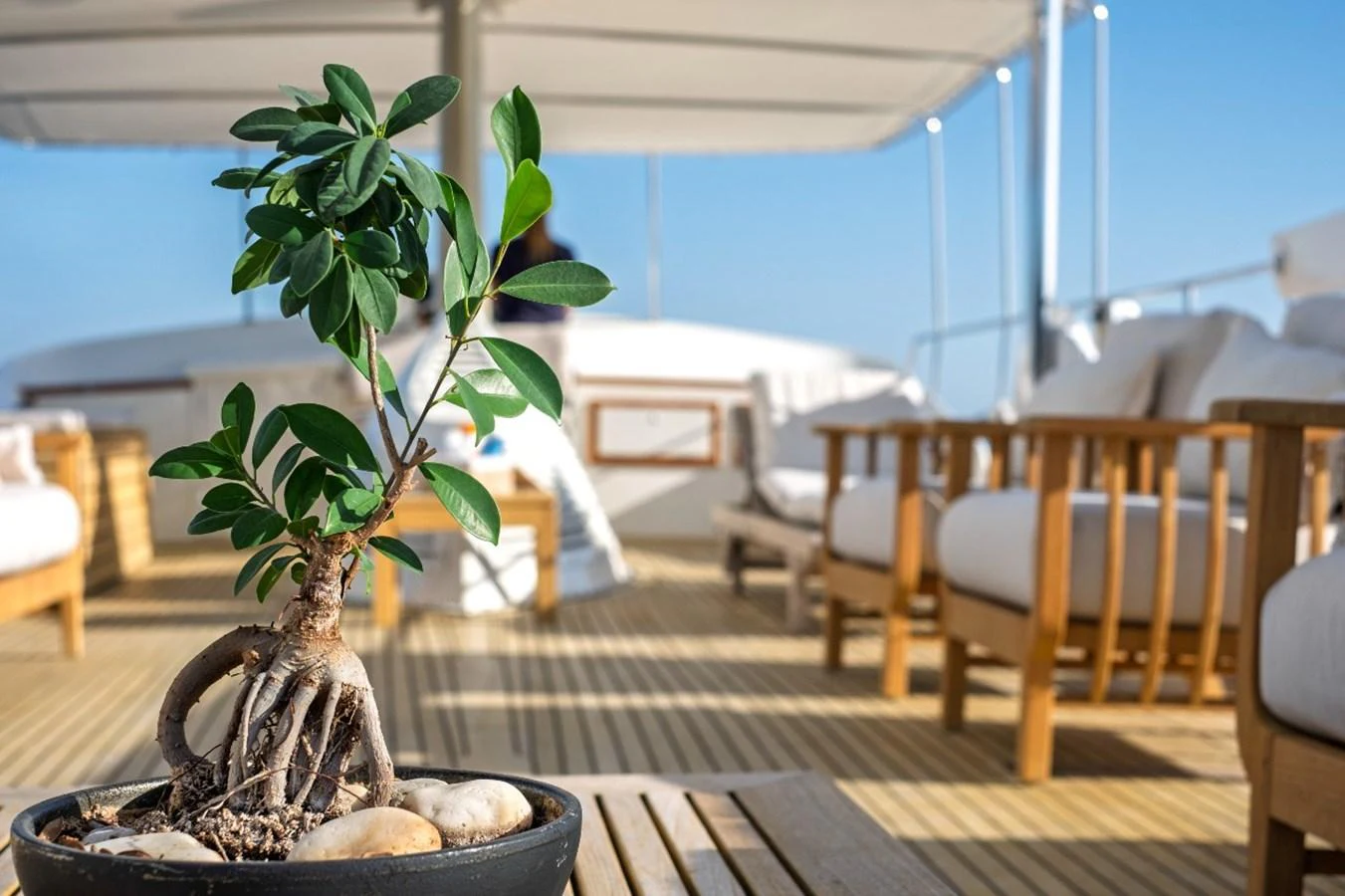 The sundeck offers a serene space with comfortable seating and a touch of greenery. aboard STALCA Yacht for Sale