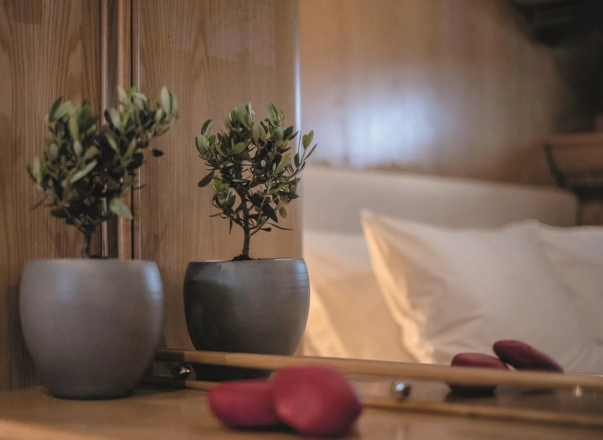 A serene detail shot of a potted plant and decor in a cozy yacht interior. aboard KISS Yacht for Sale