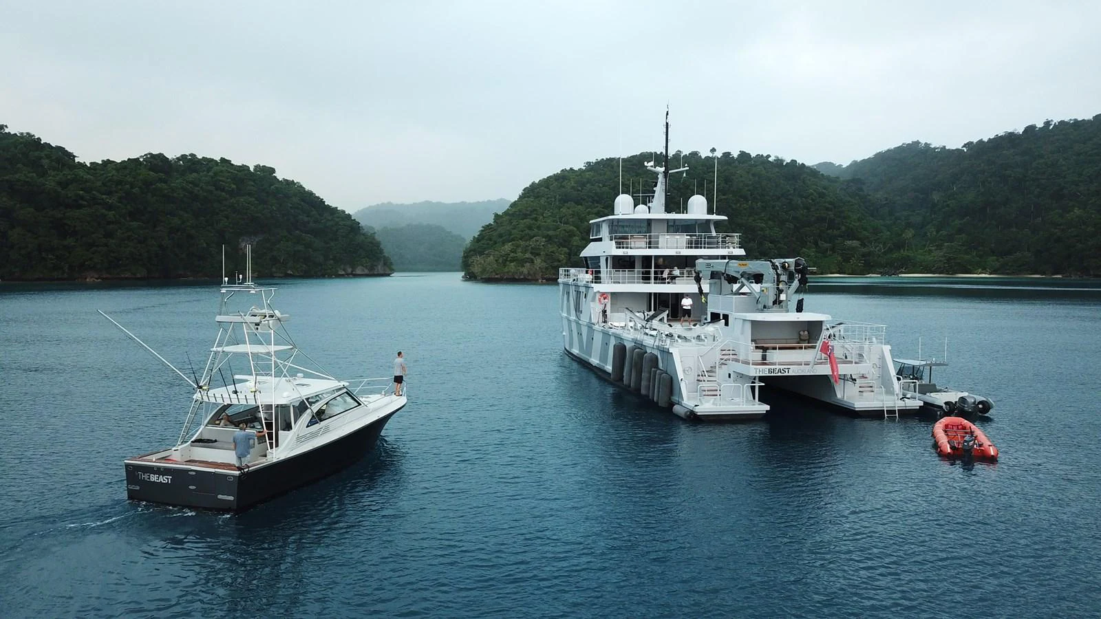 A serene scene featuring a large yacht and a smaller boat anchored in a picturesque bay surrounded by lush greenery. aboard THE BEAST Yacht for Sale