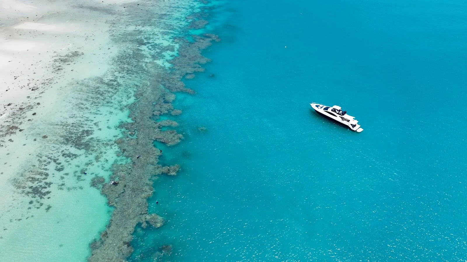 A sleek yacht cruises through crystal-clear turquoise waters near a sandy shoreline. aboard LA MAR Yacht for Sale