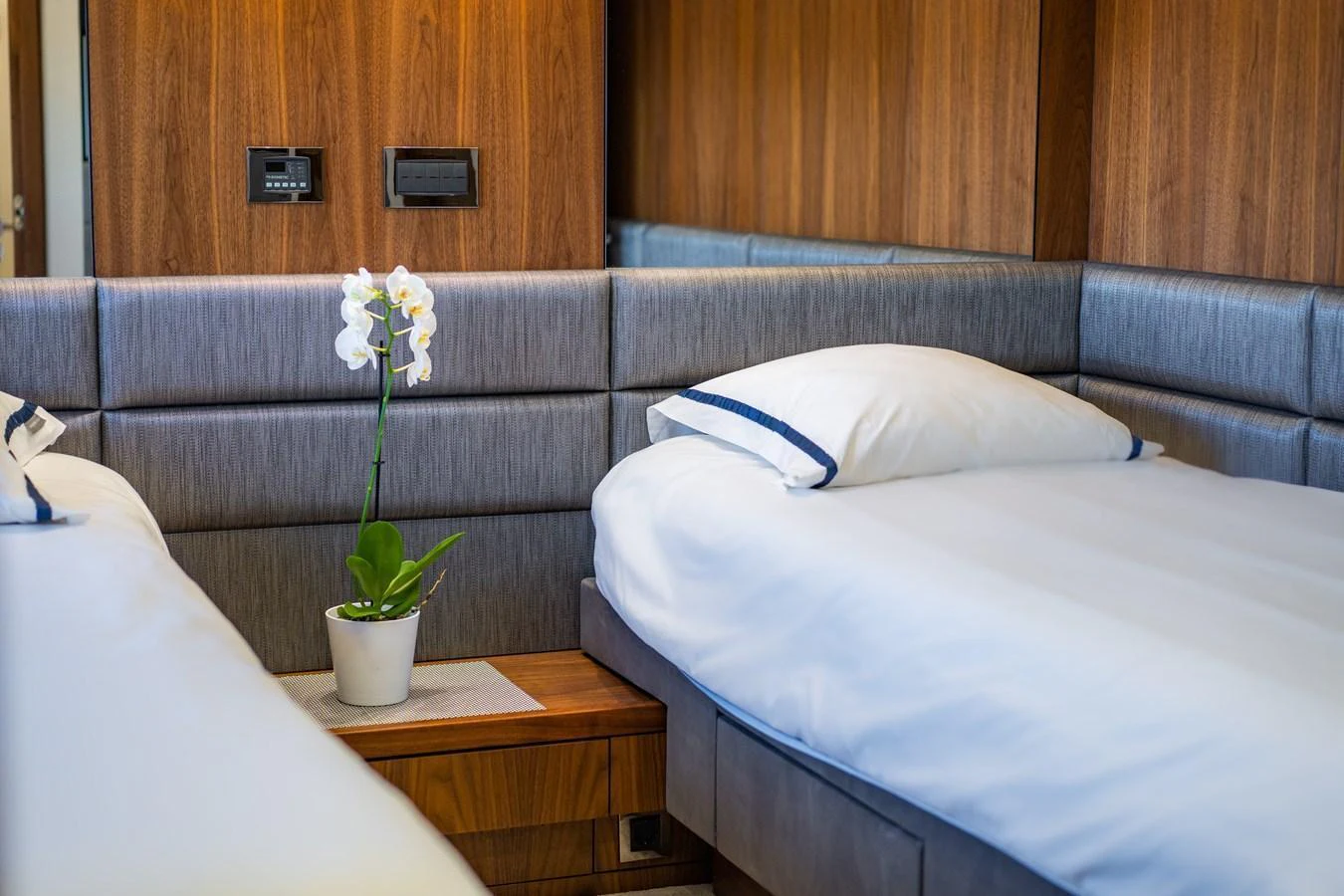 The guest stateroom features twin beds with elegant wood paneling and a touch of greenery. aboard BLACK MAMBA Yacht for Sale