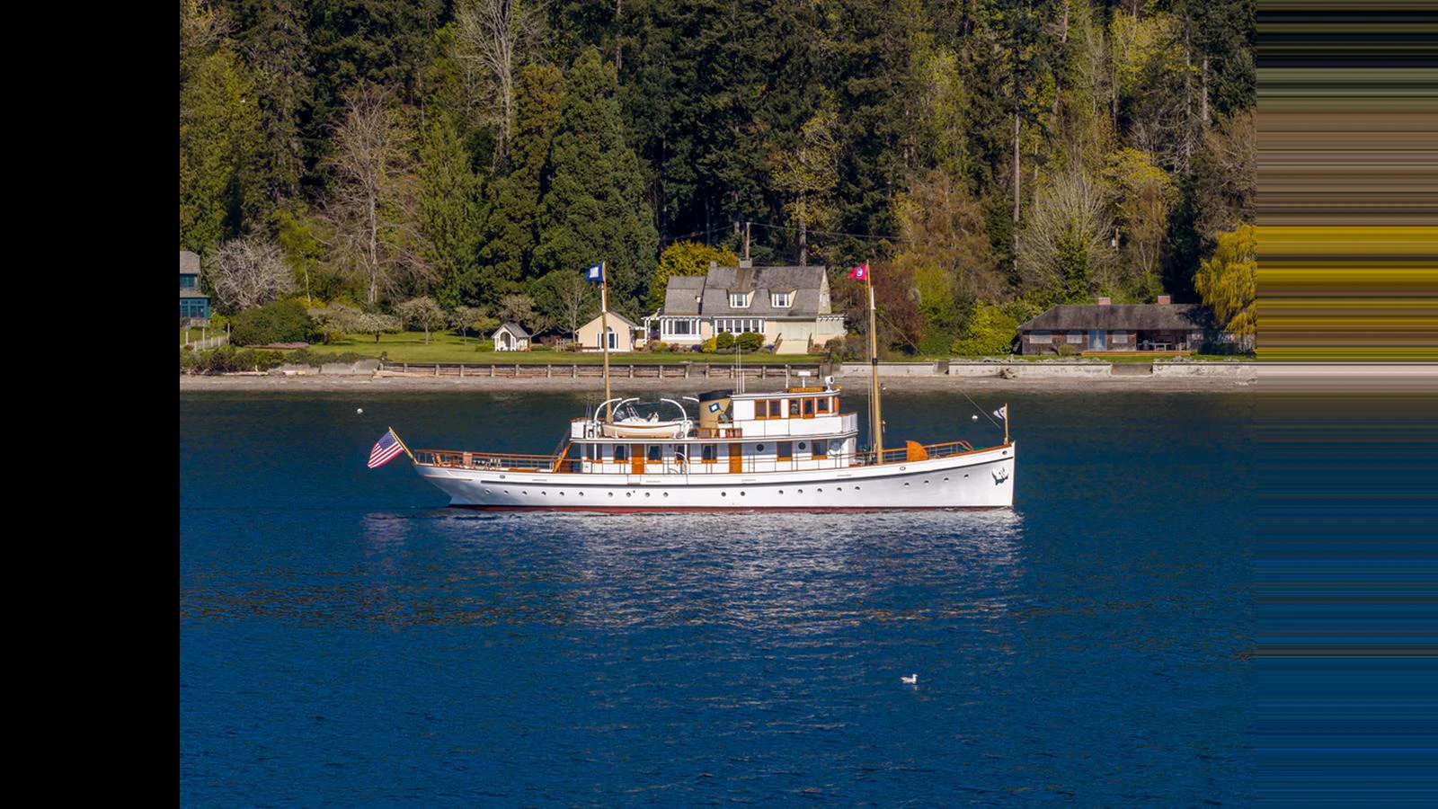 A classic yacht cruises peacefully on calm waters with a scenic forested shoreline in the background. aboard BLUE PETER Yacht for Sale