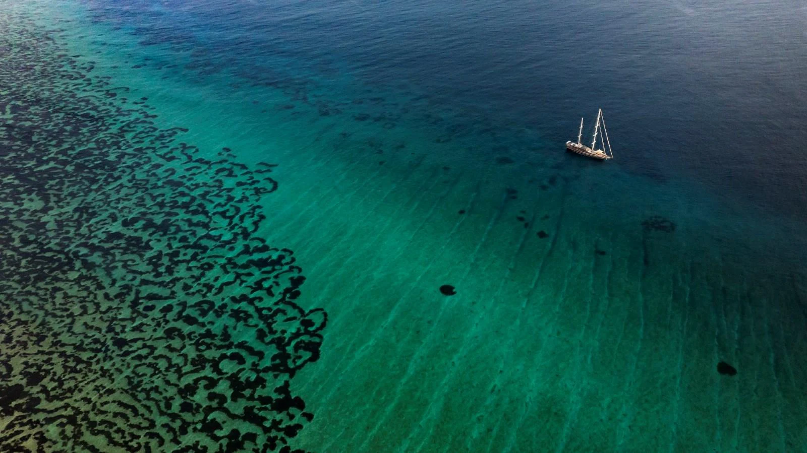 A yacht sails gracefully over clear, turquoise waters, surrounded by the beauty of the sea. aboard ODISEA Yacht for Sale