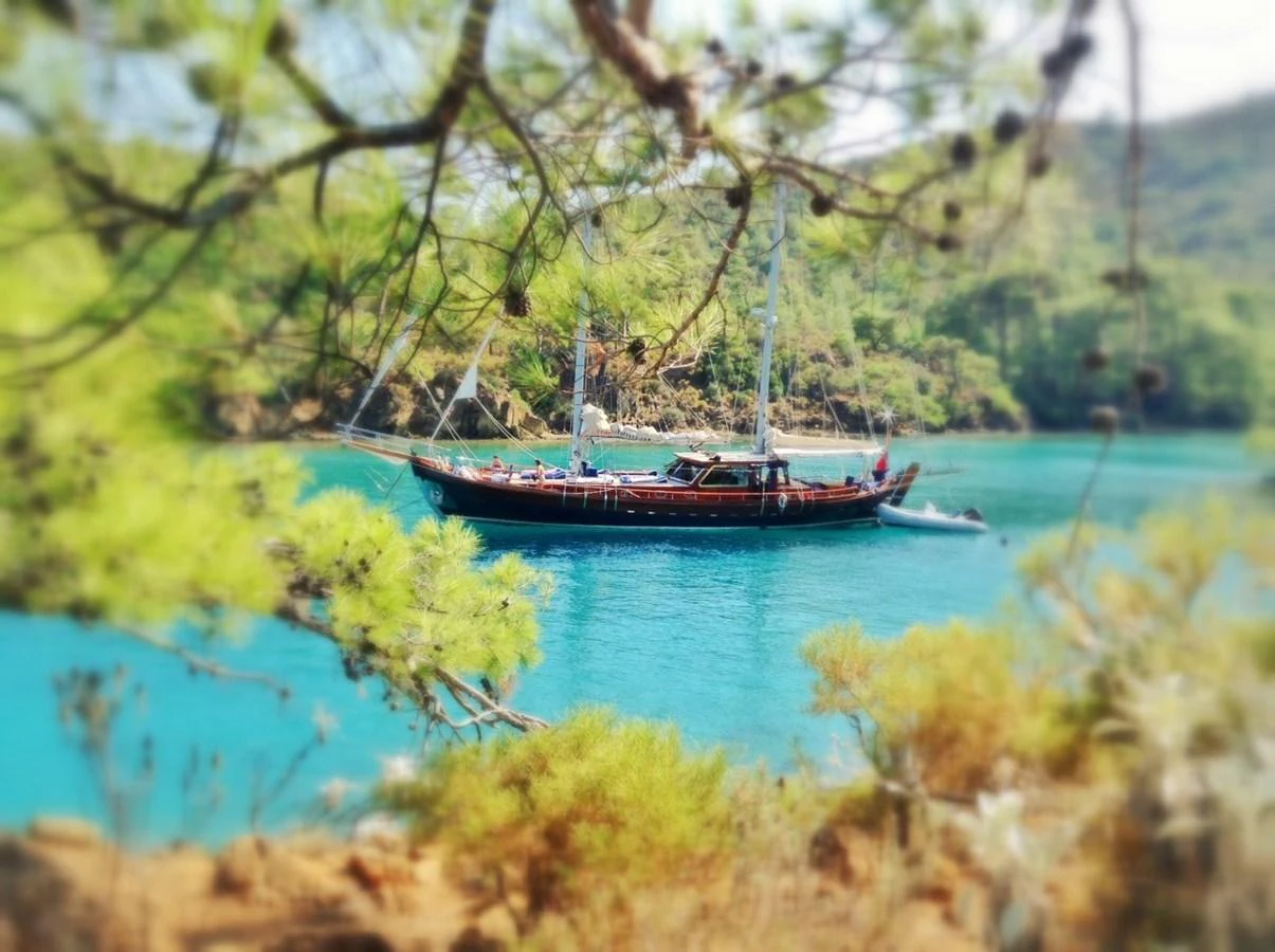 A classic yacht is anchored in a serene, turquoise bay surrounded by lush greenery. aboard TRIPPIN Yacht for Sale