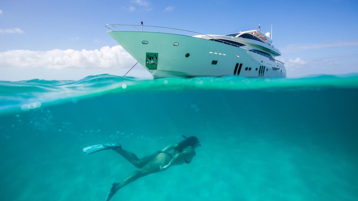 a shark swimming in the ocean aboard ARION Yacht for Charter